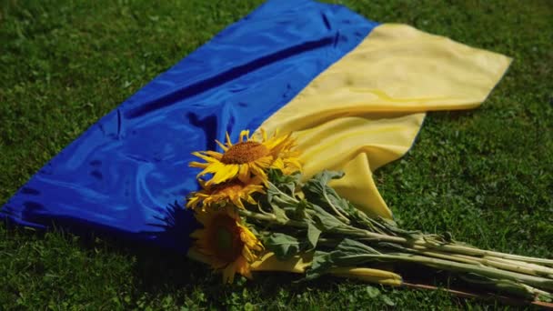 Ηλιοτρόπια Και Ουκρανία Σημαία Αφιέρωμα Στη Δύναμη Της Ειρήνης — Αρχείο Βίντεο