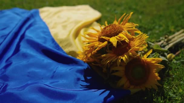 Sunflowers Ukraine Flag Tribute Power Peace — Video