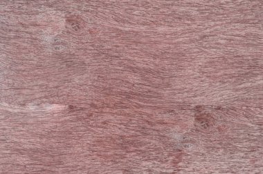 Metin ve arkaplan için Ahşap Duvar dokusu