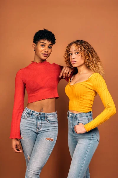 Stock Photo Beautiful Afro Women Posing Studio Shot Brown Background — Stock Photo, Image