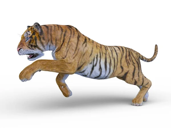 Återgivning Tiger — Stockfoto