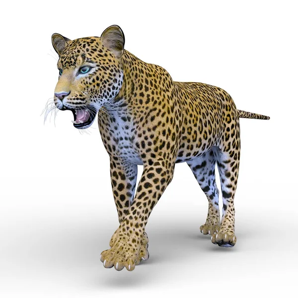 Renderização Leopardo — Fotografia de Stock