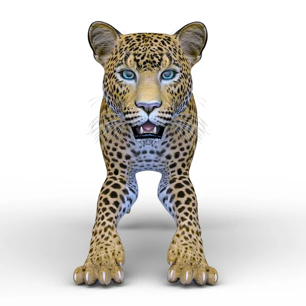 Rendering Leopardo — Foto Stock