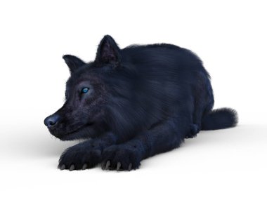 Bir kurdun 3 boyutlu görüntülemesi