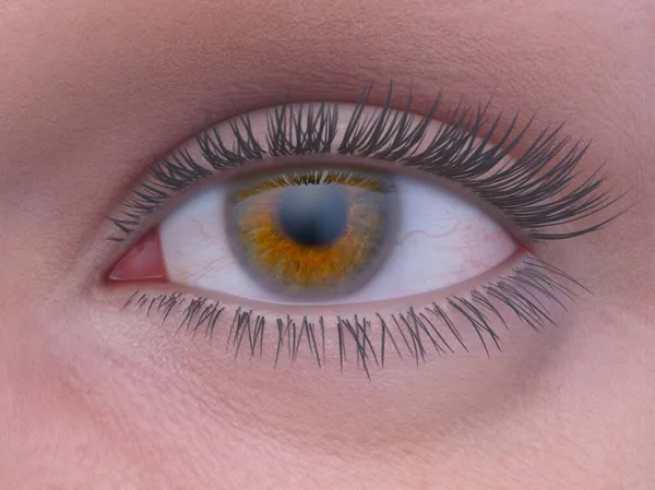 Rendering Asia Eye Make — Stock Photo, Image