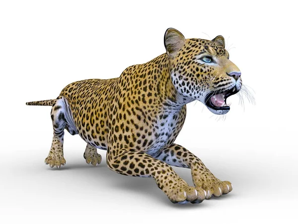 Representación Leopardo — Foto de Stock