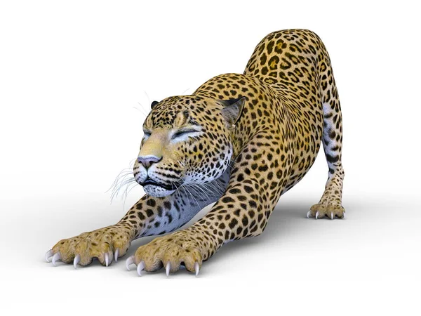 Візуалізація Леопарда — стокове фото