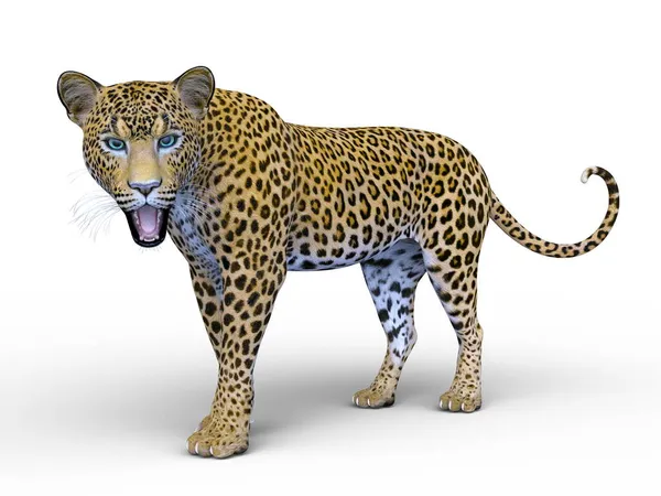 Renderização Leopardo — Fotografia de Stock