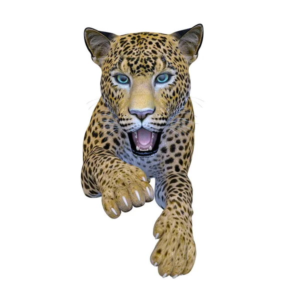 Rendering Leopardo — Foto Stock