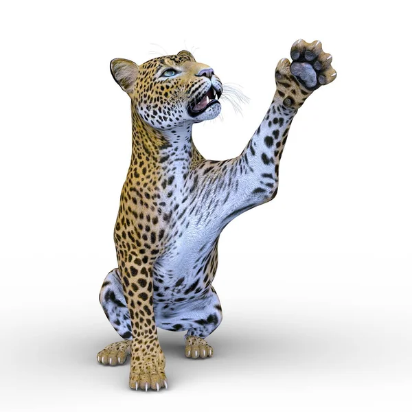 Rendering Leopard — Stockfoto
