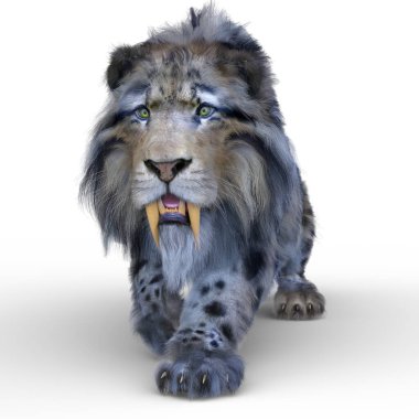 Smilodon 'un 3 boyutlu canlandırması