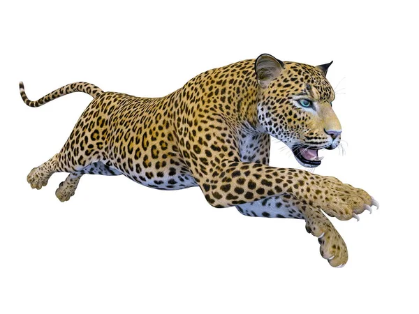 Rendering Leopardo — Foto Stock