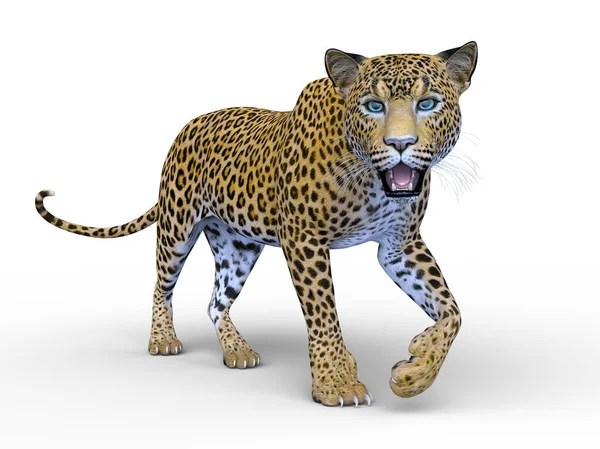 Rendering Leopardo — Foto Stock