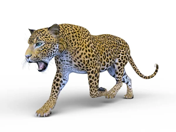 Rendering Leopard — Stockfoto