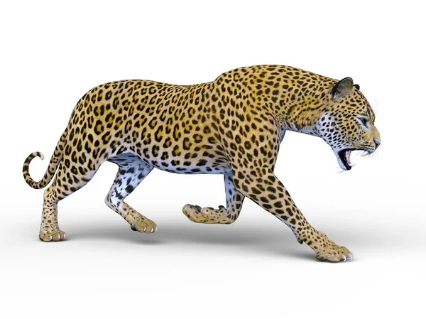 Rendering Leopardo — Foto Stock