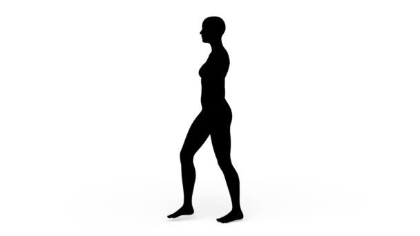 一个行走的女人轮廓的3D渲染 — 图库视频影像