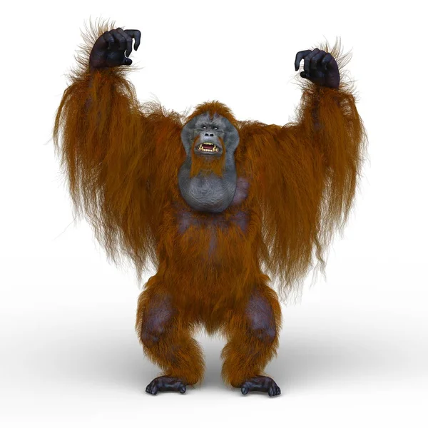 Rendering Orangutan — Stock Photo, Image