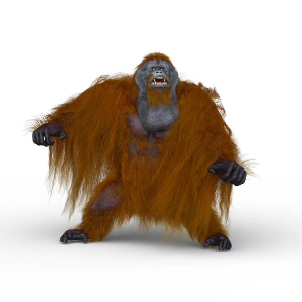 Renderização Orangotango — Fotografia de Stock