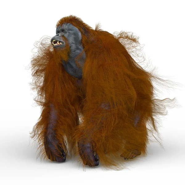 Rendering Orangutan — Stock Photo, Image