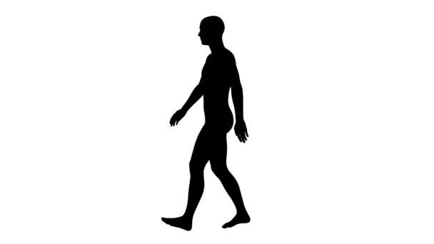 Representación Una Silueta Hombre Caminante — Vídeo de stock