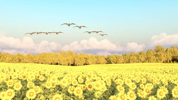 Rendering Sunflower Field — Stock Photo, Image