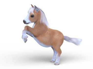 Minyatür bir atın 3B görüntüsü