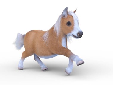 Minyatür bir atın 3B görüntüsü