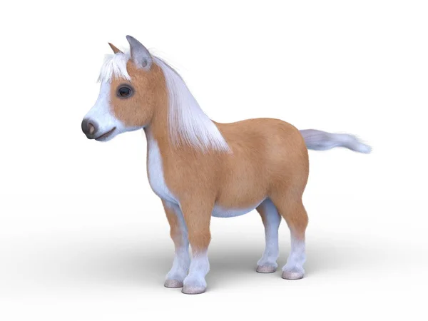 Rendering Miniature Horse — Stock Photo, Image