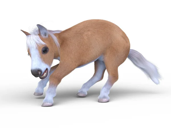 Rendering Miniature Horse — Stock Photo, Image