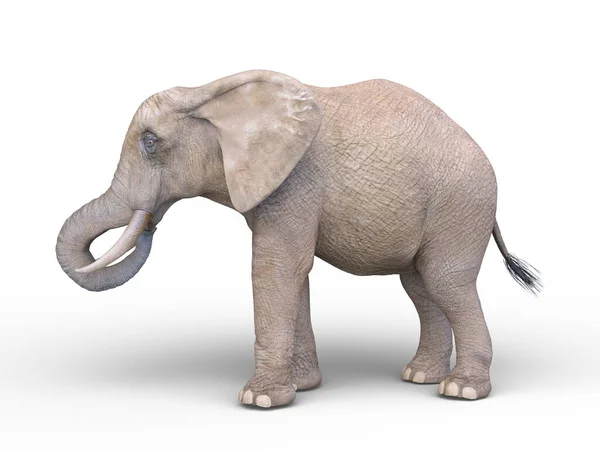 Representación Elefante — Foto de Stock