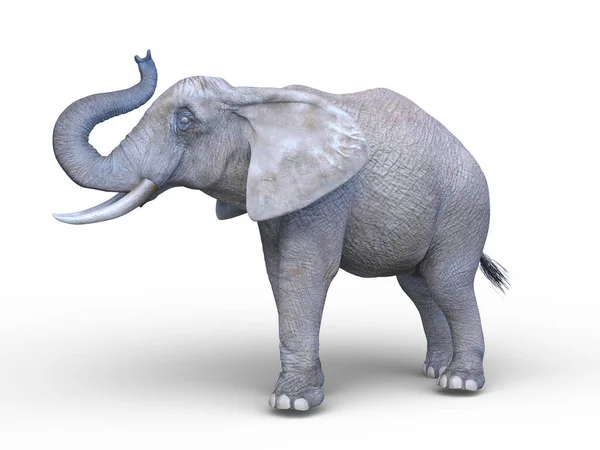 大象的3D渲染 — 图库照片