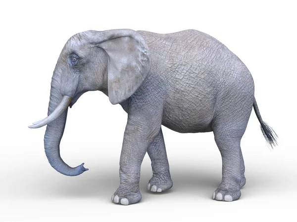 Representación Elefante — Foto de Stock