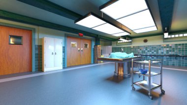 Diseksiyon odasının 3 boyutlu görüntülemesi