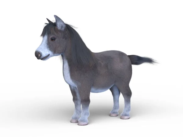 Rendering Miniature Horse — Stock Photo, Image