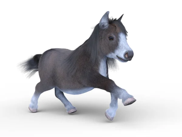 Weergave Van Een Miniatuur Paard — Stockfoto