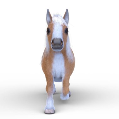 Minyatür bir atın 3B görüntüsü