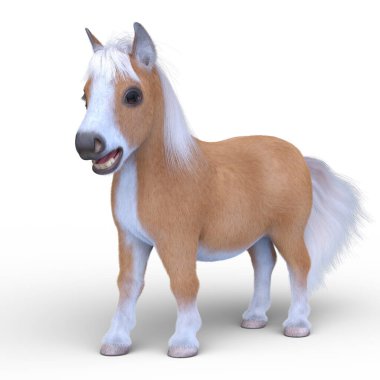 Minyatür bir atın 3B görüntüsü