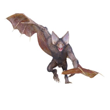 Canavar yarasanın 3 boyutlu görüntüsü