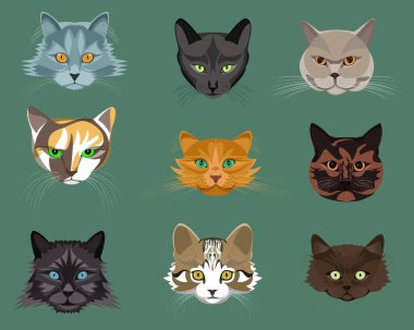 Her birinin kendine has bir karakteri ve kendi yüz ifadeleri var.