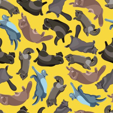   Sarı arka planda uyuyan kedilerle kusursuz bir desen.