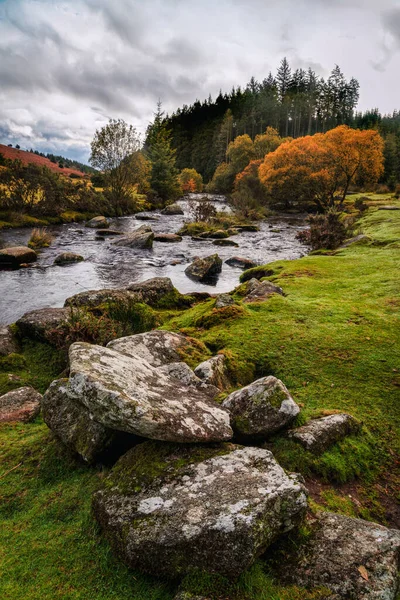 Sonbaharda Dartmoor 'daki orman deresi. 