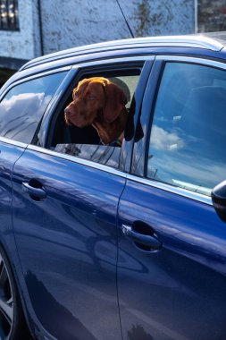Wistmans Orman Panoraması Dartmoor Devon İngiltere 