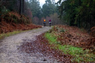 İki atlı kışın ormanda at sürüyor. 