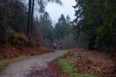 İki atlı kışın ormanda at sürüyor. 