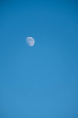 moon and a blue sky 