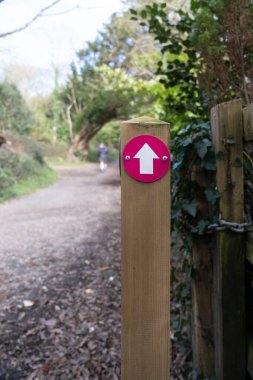 Tehidy Cornwall Uk 'taki ormanda ok işareti.