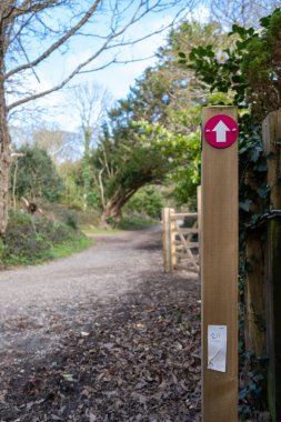 Tehidy Cornwall Uk 'taki ormanda ok işareti.