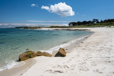 Scilly Cornwall UK Tresco Adaları 'ndaki kumsalda. 