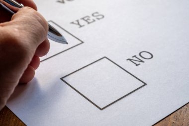 Oy kağıdı evet ya da hayır kutusu 