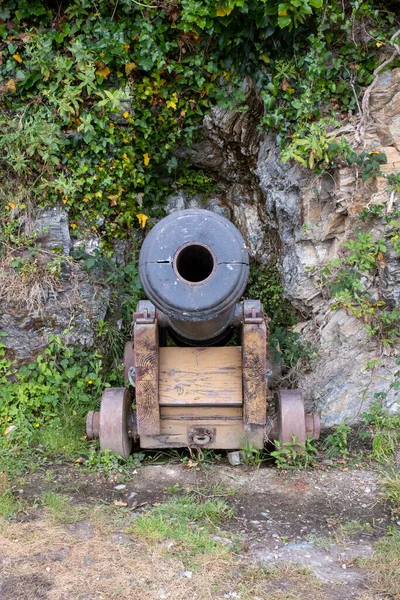 Kanon Geweer Dat Naar Kijker Gericht — Stockfoto